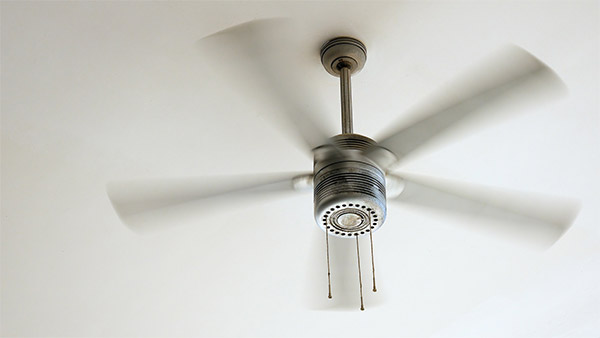 Ceiling Fan